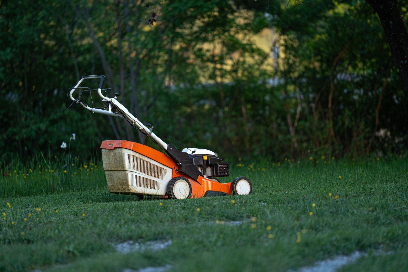 Rasenmäher auf einem gepflegten Rasen im Garten
